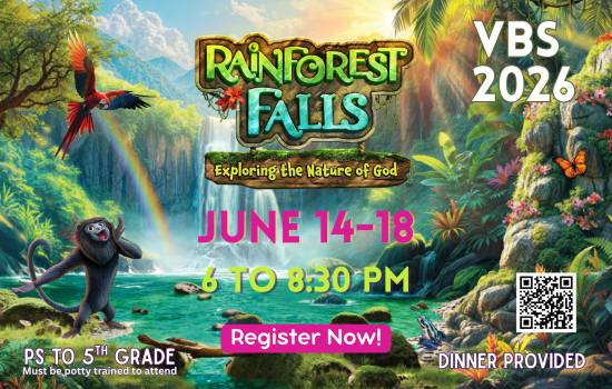 VBS 26 Participant Poster 5-3 to 6-7